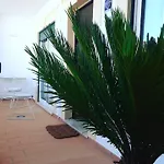 Casa Ocean דירה