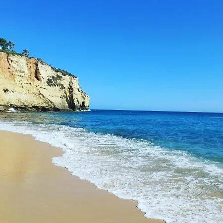 Casa Ocean דירה
