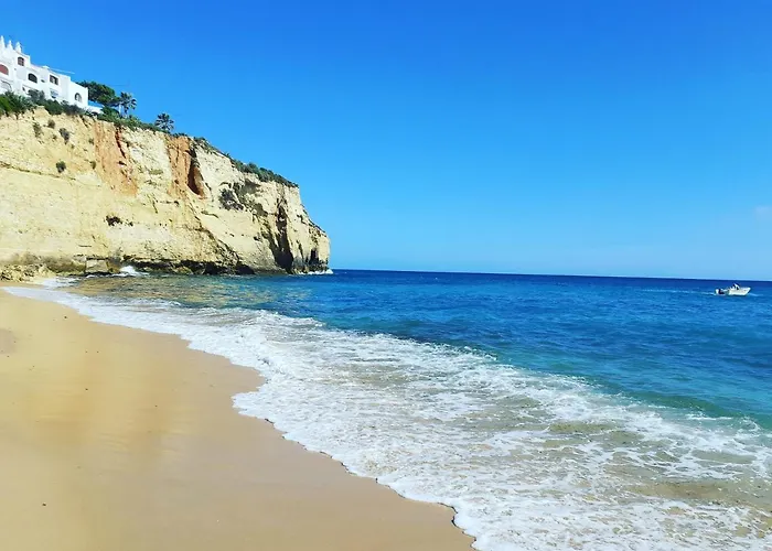 Casa Ocean アパート