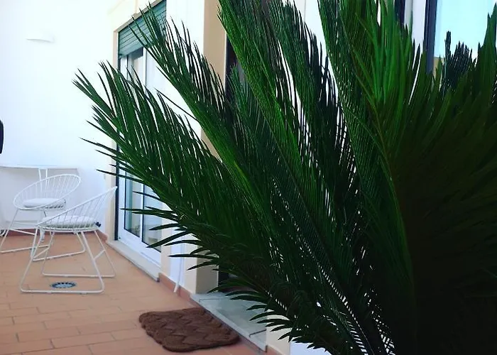 Casa Ocean アパート